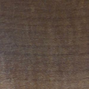 Meet your Posher, Regina